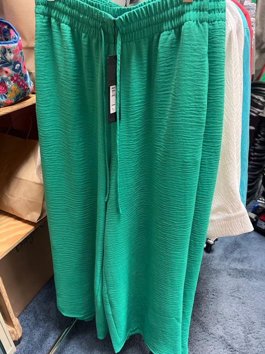 Renuar jade green pull on pants