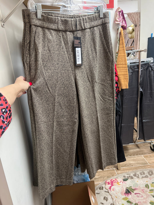 Renuar tan combo pants